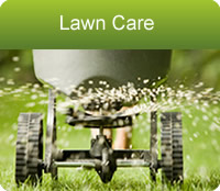 Lawncare in central Indiana including Marion, Johnson, Hamilton counties